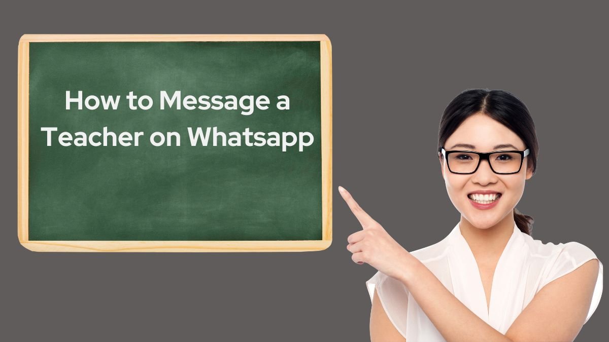 how to message a teacher on whatsapp